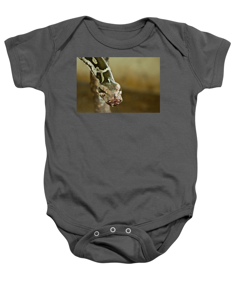 Shimoga Baby Onesie featuring the photograph Indian Python by SAURAVphoto Online Store