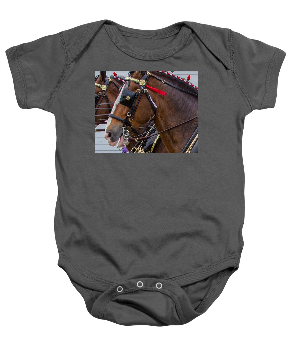Budweiser Clydesdales Horses Baby Onesie featuring the photograph It's Pretty Horse Day by Robert L Jackson