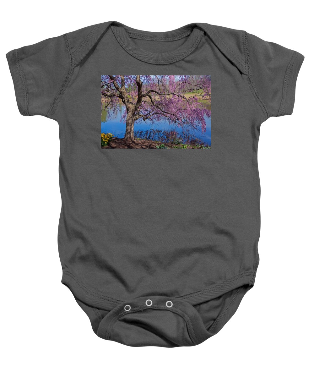 Meadowlark Botanical Gardens Baby Onesie featuring the photograph Japanese Weeping Cherry by Suzanne Stout