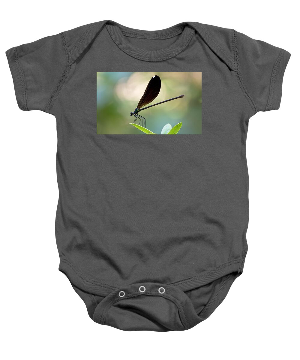 Wildlife Baby Onesie featuring the photograph Jewel Winged Damselfly by Kenneth Albin