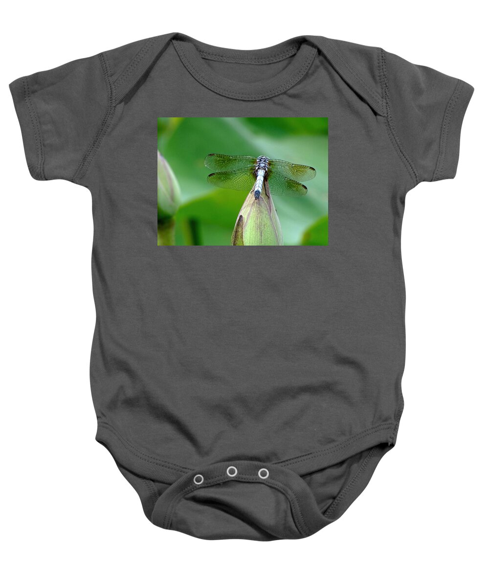 Dragonfly Baby Onesie featuring the photograph Just Visiting by Jennifer Wheatley Wolf