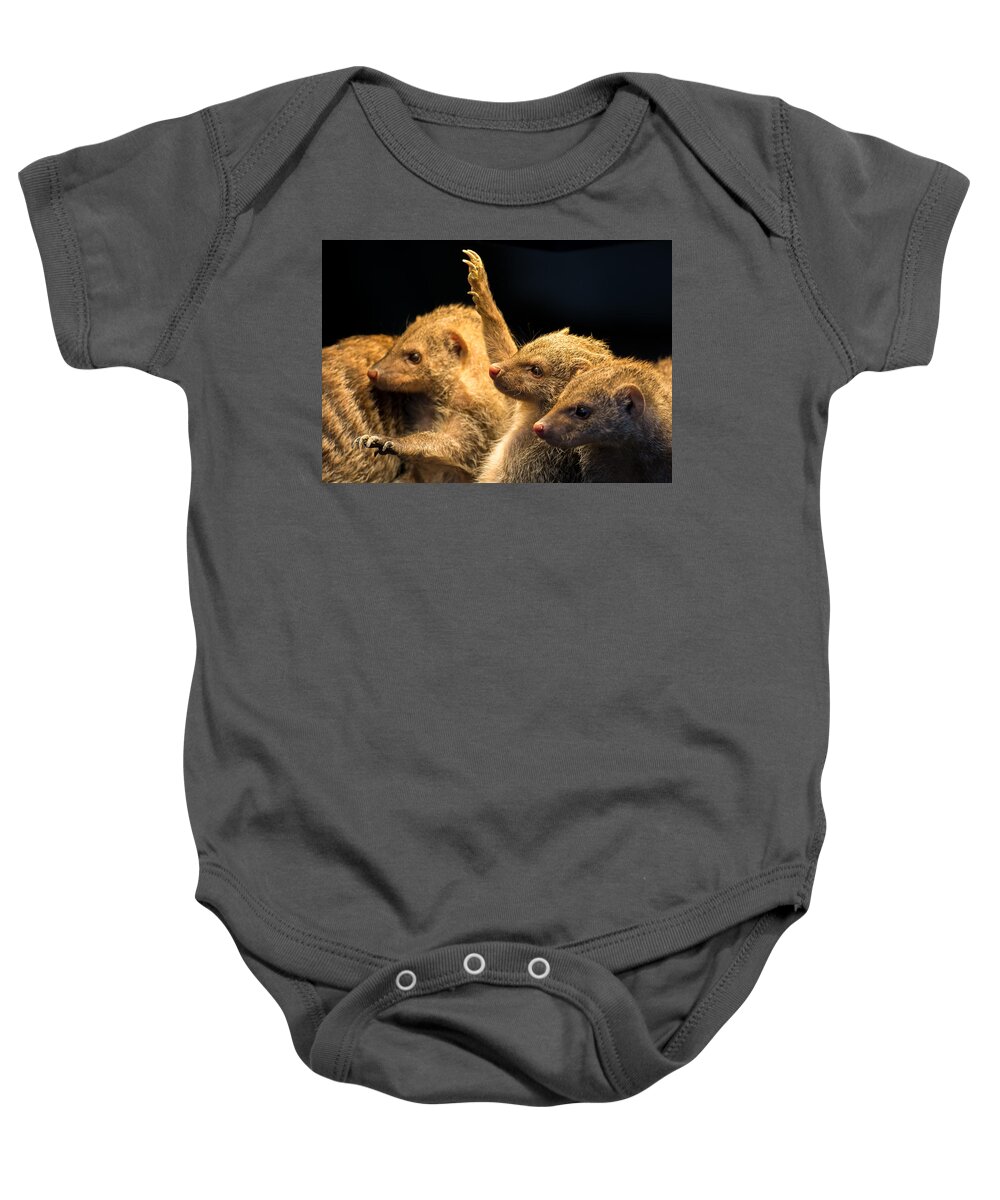 Mongoose Baby Onesie featuring the photograph Juvenile Mongooses by Andreas Berthold