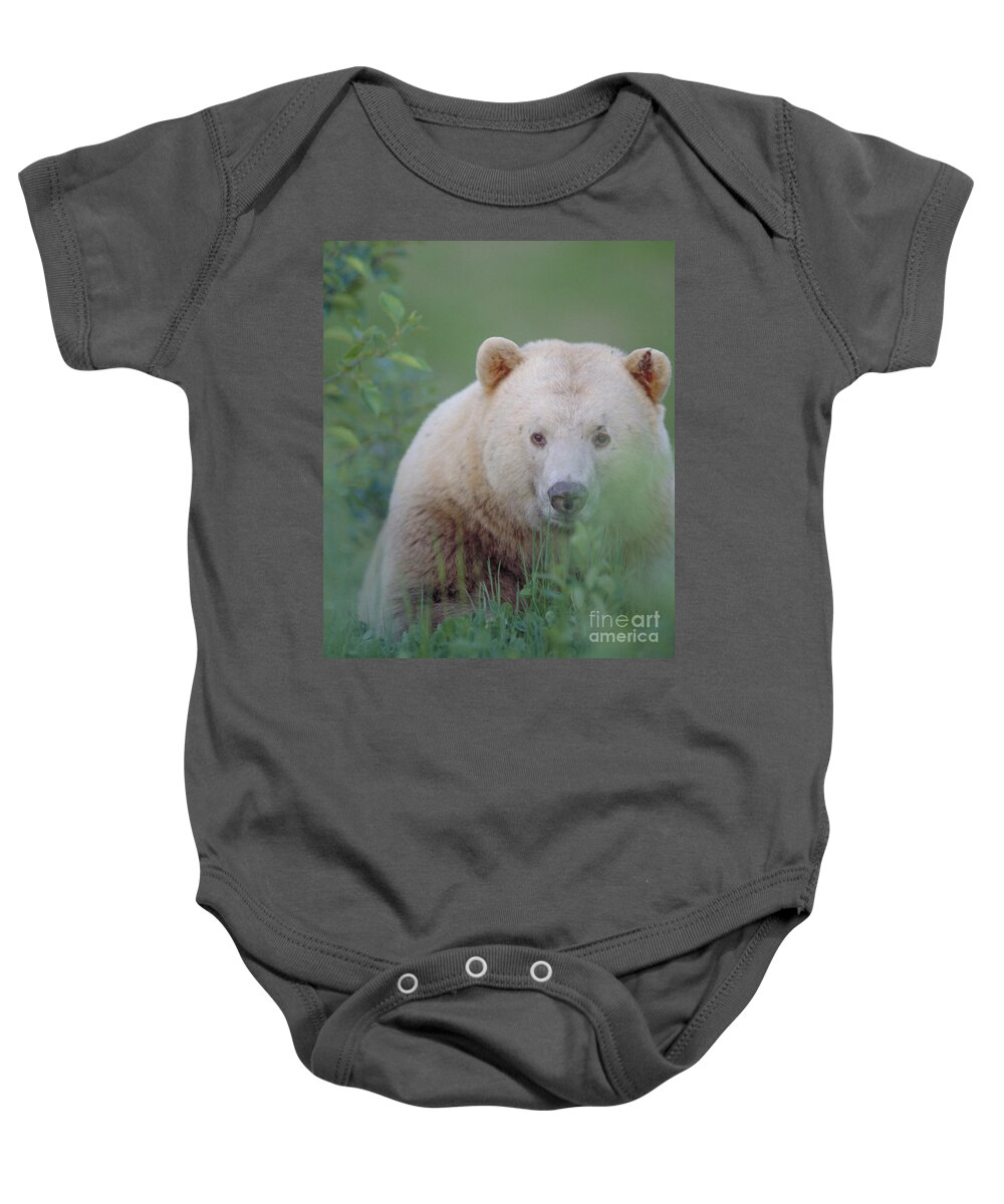Vertical Baby Onesie featuring the photograph Kermode Bear, Northern British by Art Wolfe