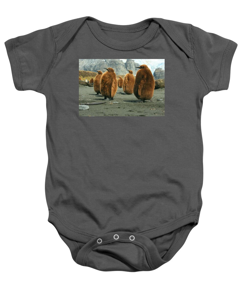 King Penguin Chicks Baby Onesie featuring the photograph King Penguin Chicks by Amanda Stadther