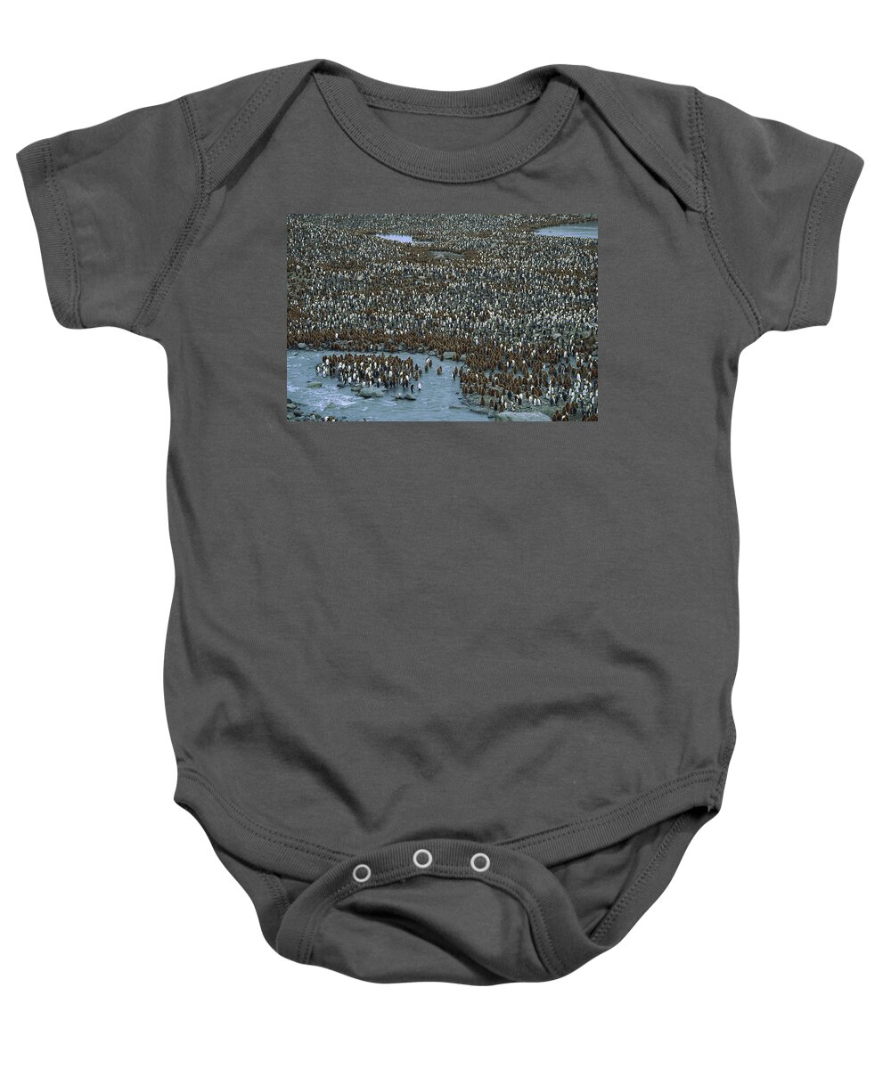 Feb0514 Baby Onesie featuring the photograph King Penguin Colony St Andrews Bay by Colin Monteath