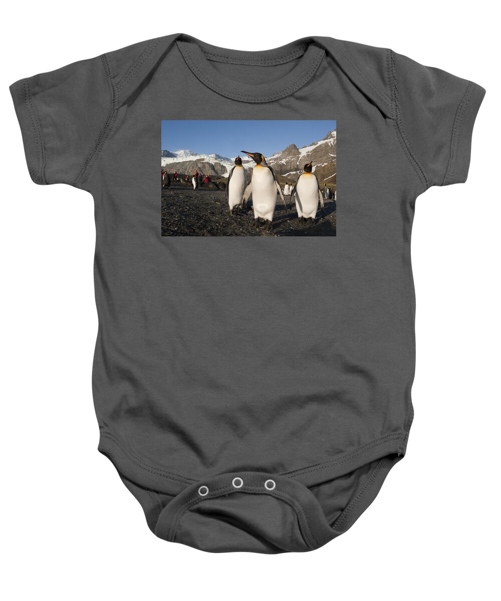 Feb0514 Baby Onesie featuring the photograph King Penguin Trio And Tourists South by Flip Nicklin
