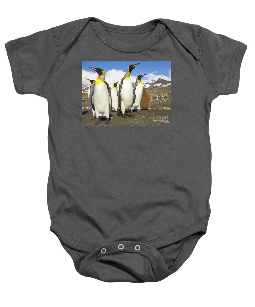 00345347 Baby Onesie featuring the photograph King Penguins At St Andrews Bay by Yva Momatiuk and John Eastcott
