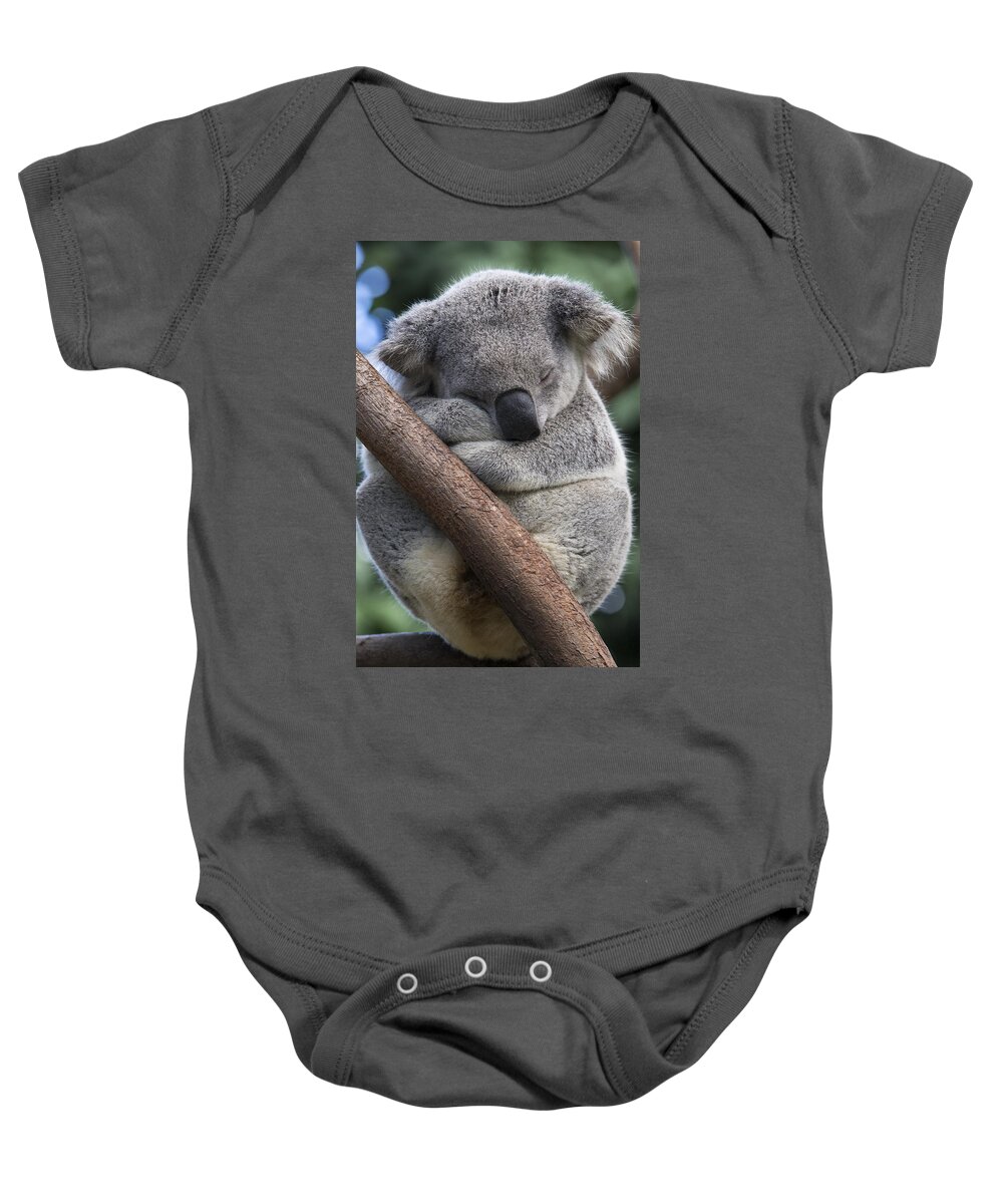 Feb0514 Baby Onesie featuring the photograph Koala Male Sleeping Australia by Suzi Eszterhas