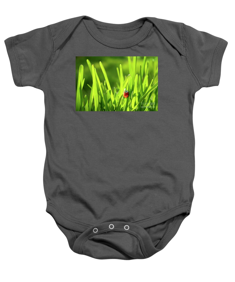 Autumn Baby Onesie featuring the photograph Ladybug in Grass by Carlos Caetano