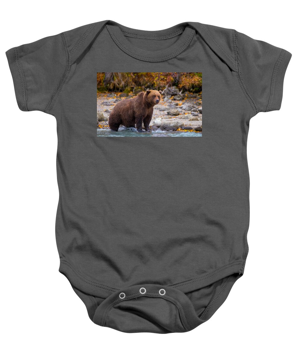 Bear Baby Onesie featuring the photograph Lake Scan by Kevin Dietrich
