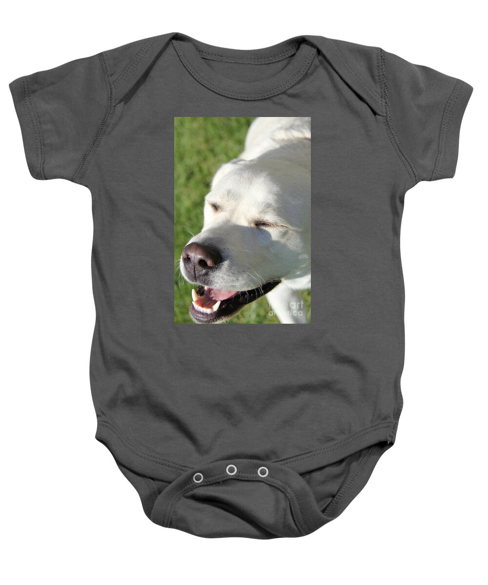 Dogs Smiling Dogs Baby Onesie featuring the photograph Laughter is the Best Medicine by Suzanne Oesterling