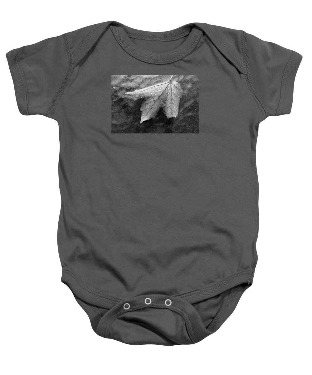 Nature Baby Onesie featuring the photograph Leaf on Glass by John Schneider