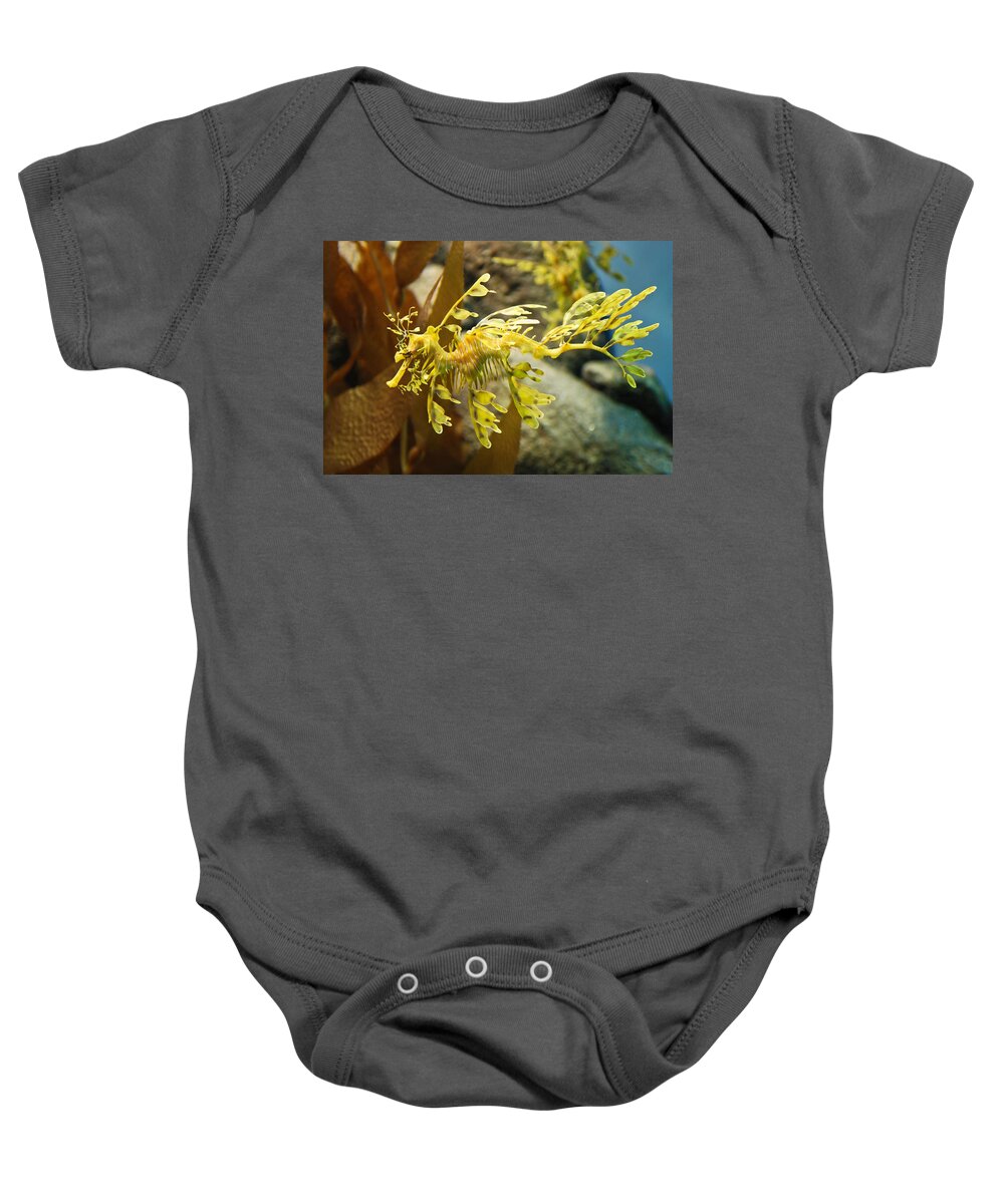 Leafy Baby Onesie featuring the photograph Leafy Sea Dragon by Shane Kelly