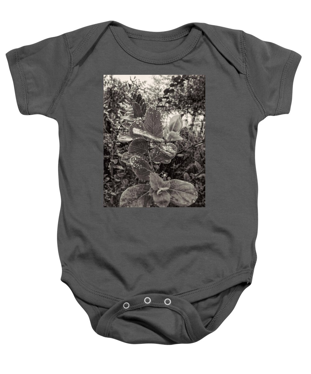 Raindrops Baby Onesie featuring the photograph Leaves 2 by Cathy Anderson