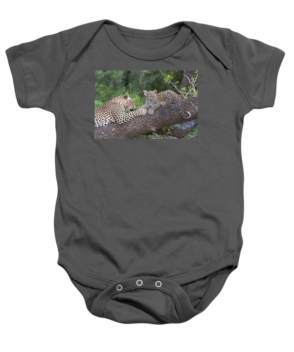 Nis Baby Onesie featuring the photograph Leopard And Cub Masai Mara Kenya by Andrew Schoeman