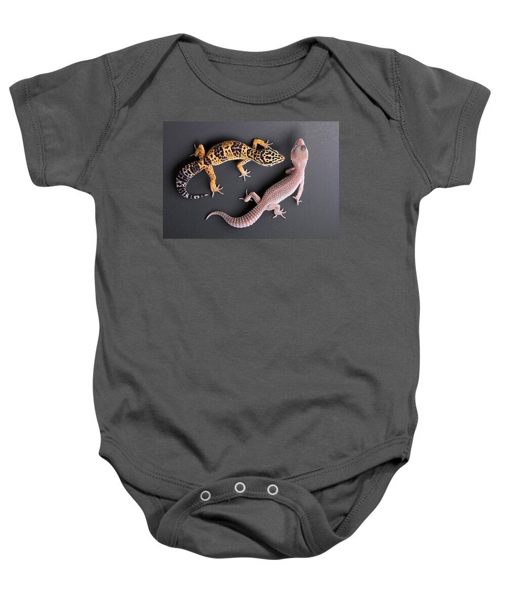 Common Leopard Gecko Baby Onesie featuring the photograph Leopard Gecko E. Macularius Collection by David Kenny