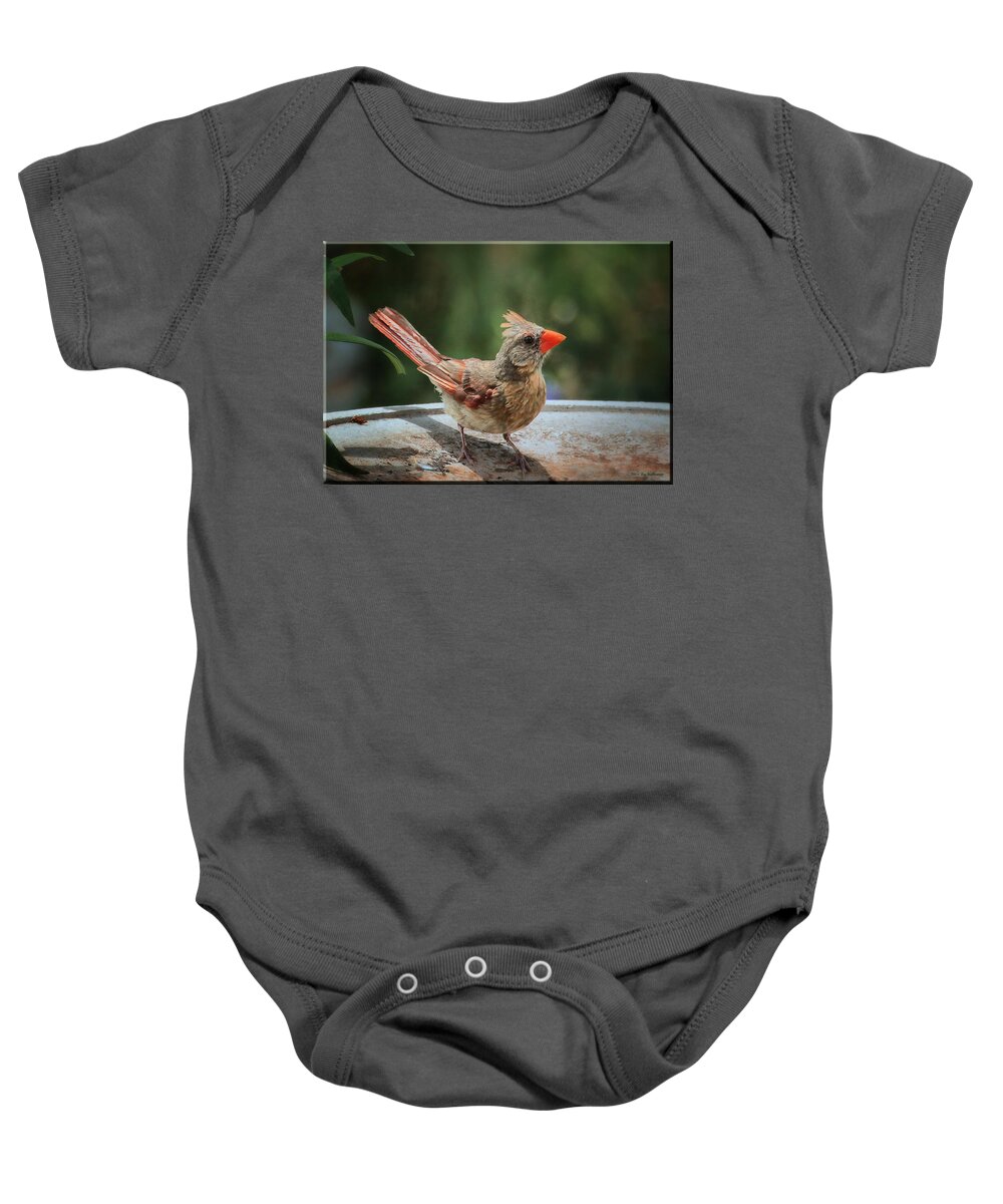 Baby Cardinal Print Baby Onesie featuring the photograph Little Feather by Lucy VanSwearingen