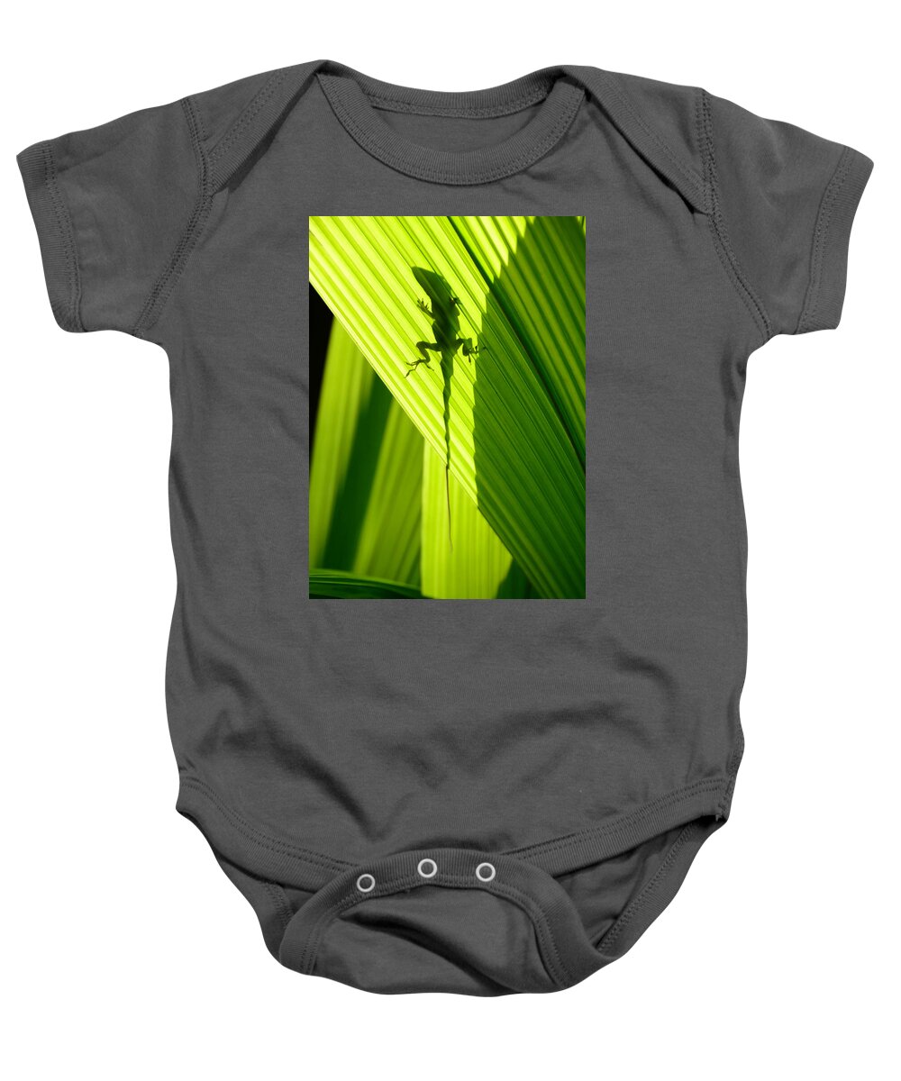 Lizard Baby Onesie featuring the photograph Lizard And Shadow Vertical by David Lee Thompson