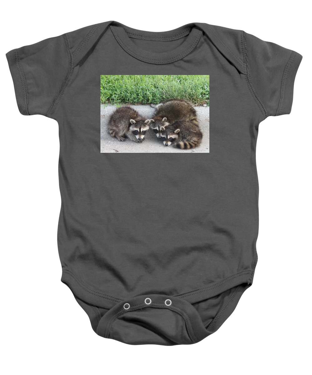 Baby Baby Onesie featuring the photograph Lost Little Bandits by J Laughlin