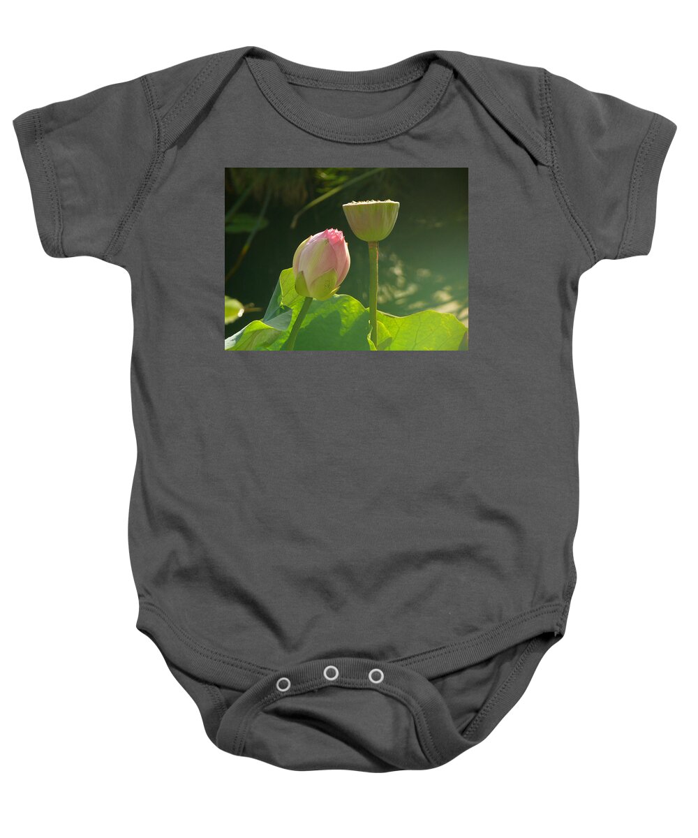 Lotus Baby Onesie featuring the photograph Lotus Soft by Evelyn Tambour
