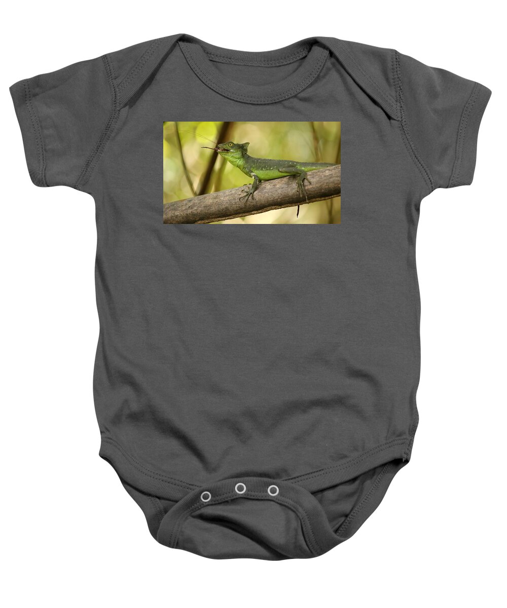 Lizard Baby Onesie featuring the photograph Lunch by BYET Photography