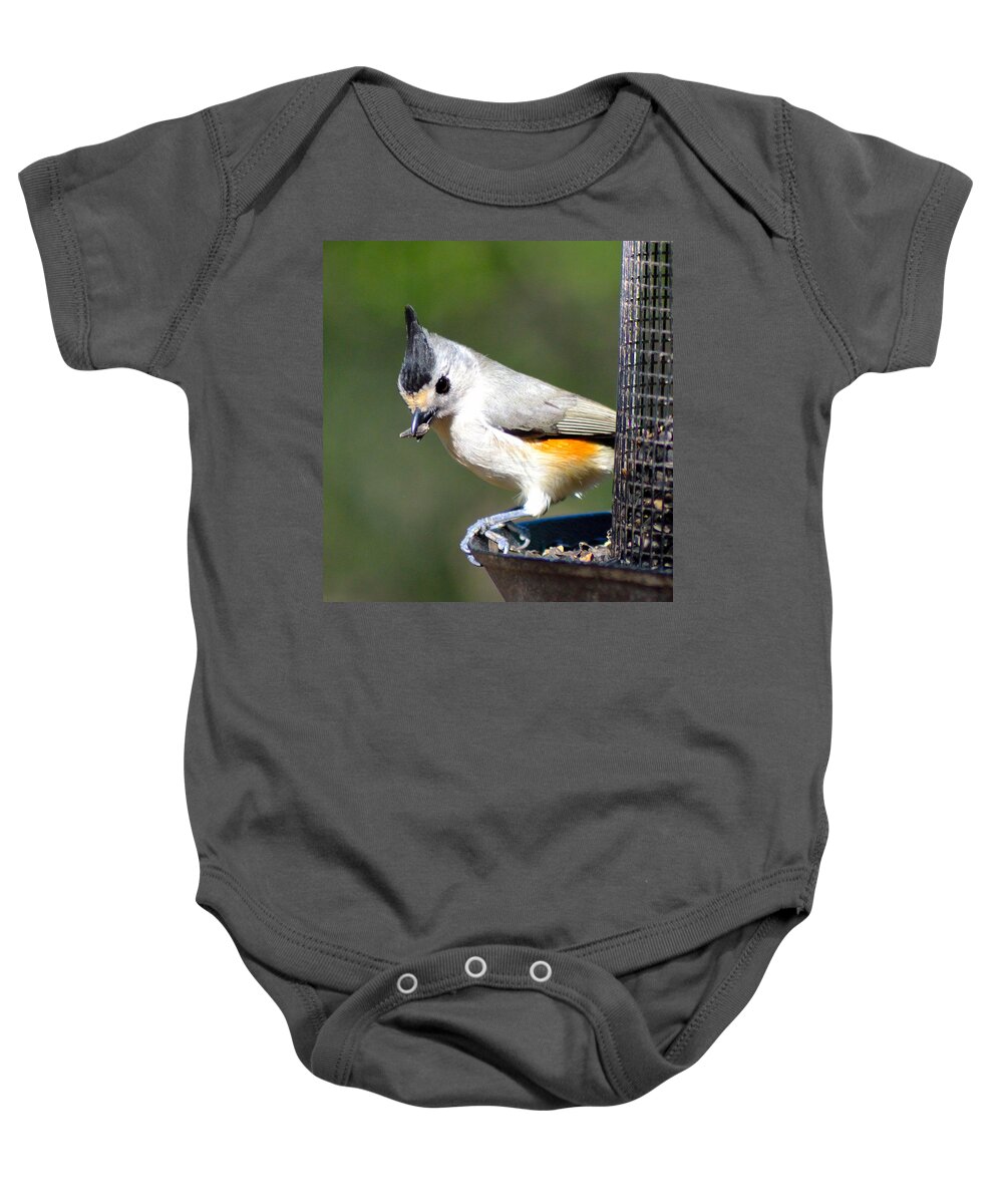 Small Birds Baby Onesie featuring the photograph Lunch Time by Shannon Harrington