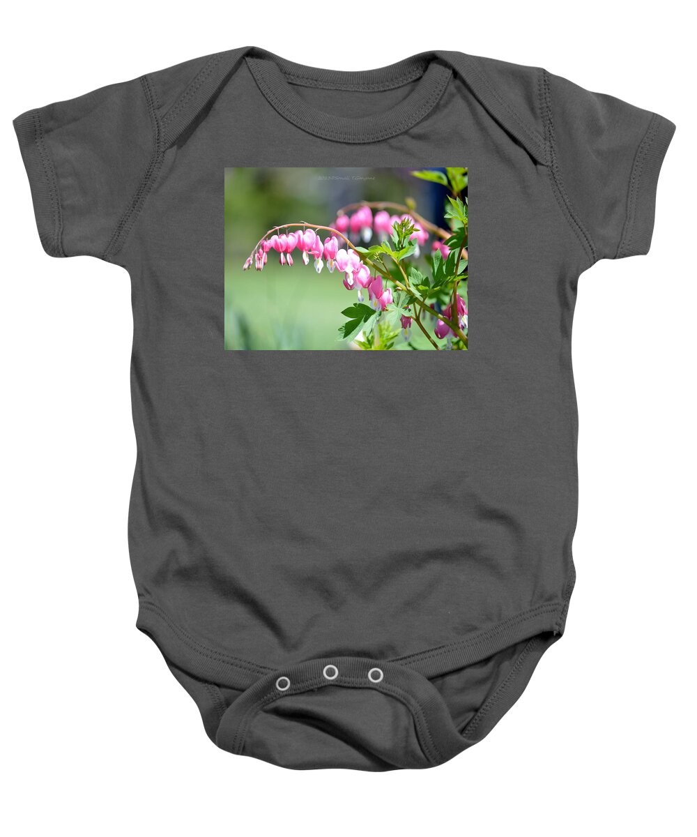 Pink Heart-shaped Flowers Baby Onesie featuring the photograph Lyre flower by Sonali Gangane