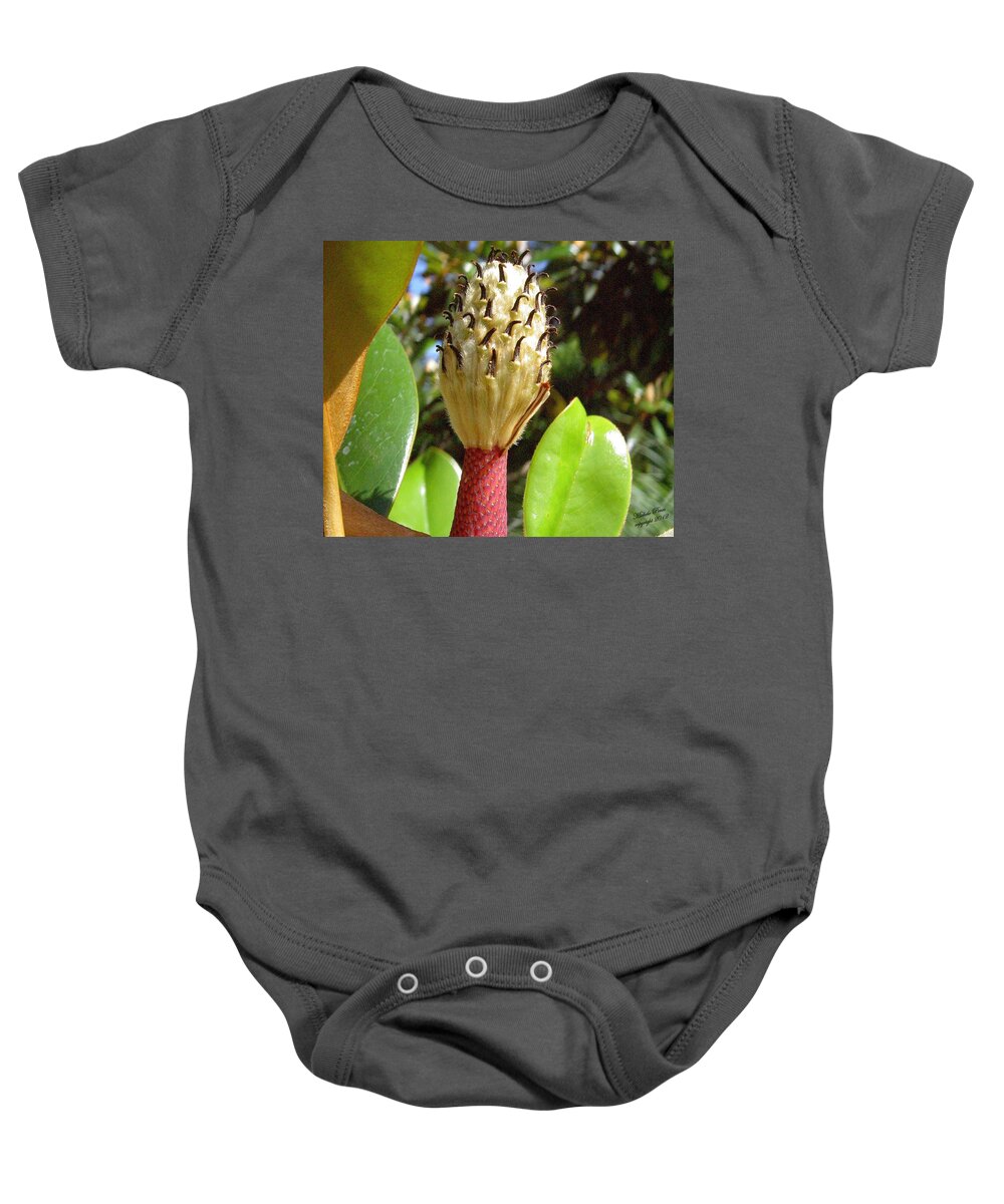 Flower Photograph Baby Onesie featuring the photograph Magnolia Faith by Michele Penn