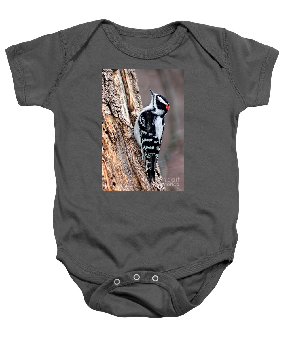 Downey Woodpecker Baby Onesie featuring the photograph Male Downy Woodpecker by Barbara McMahon