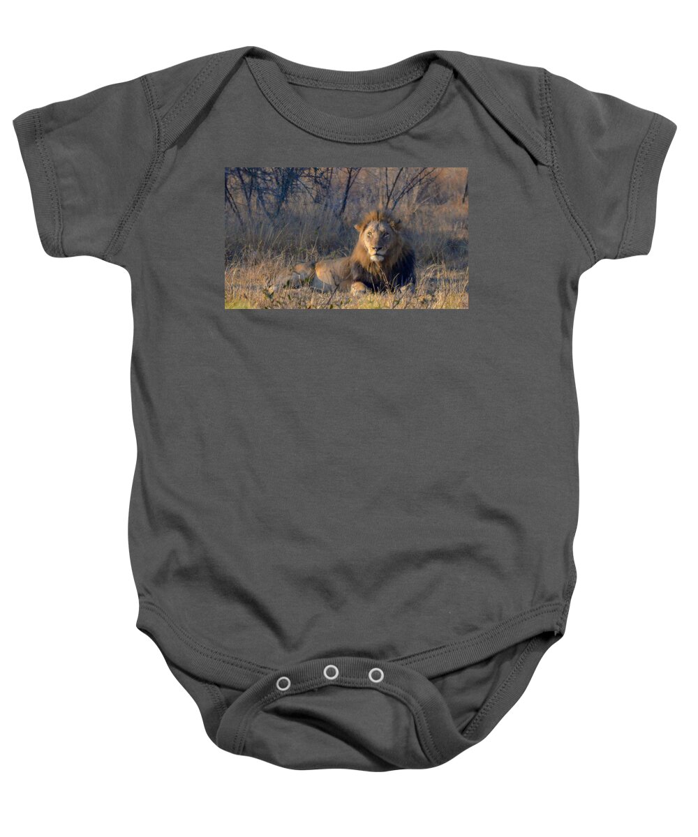 Africa Baby Onesie featuring the photograph Male Lion Resting at Kruger by Jeff at JSJ Photography