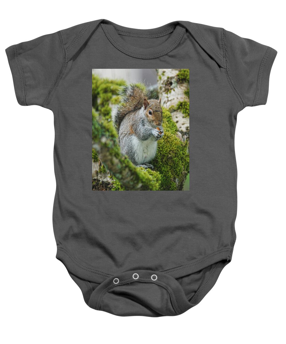 Squirrel Baby Onesie featuring the photograph Man this is good by Ron Roberts