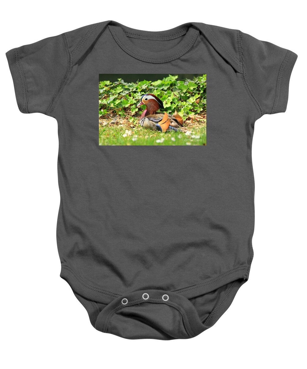 Animal Baby Onesie featuring the photograph Mandarin Duck in the grass by Amanda Mohler