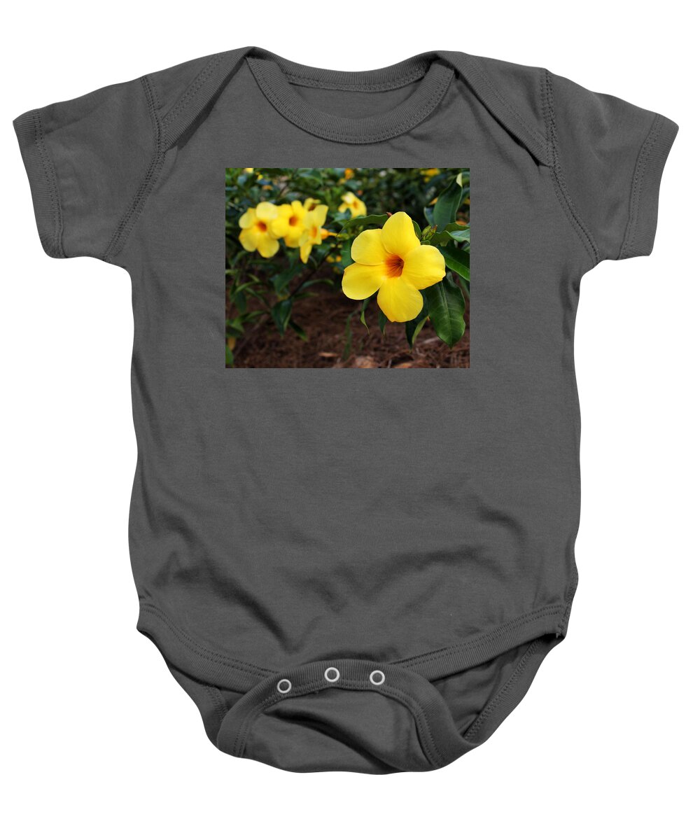 Mandevilla Baby Onesie featuring the photograph Mandevilla by Judy Vincent