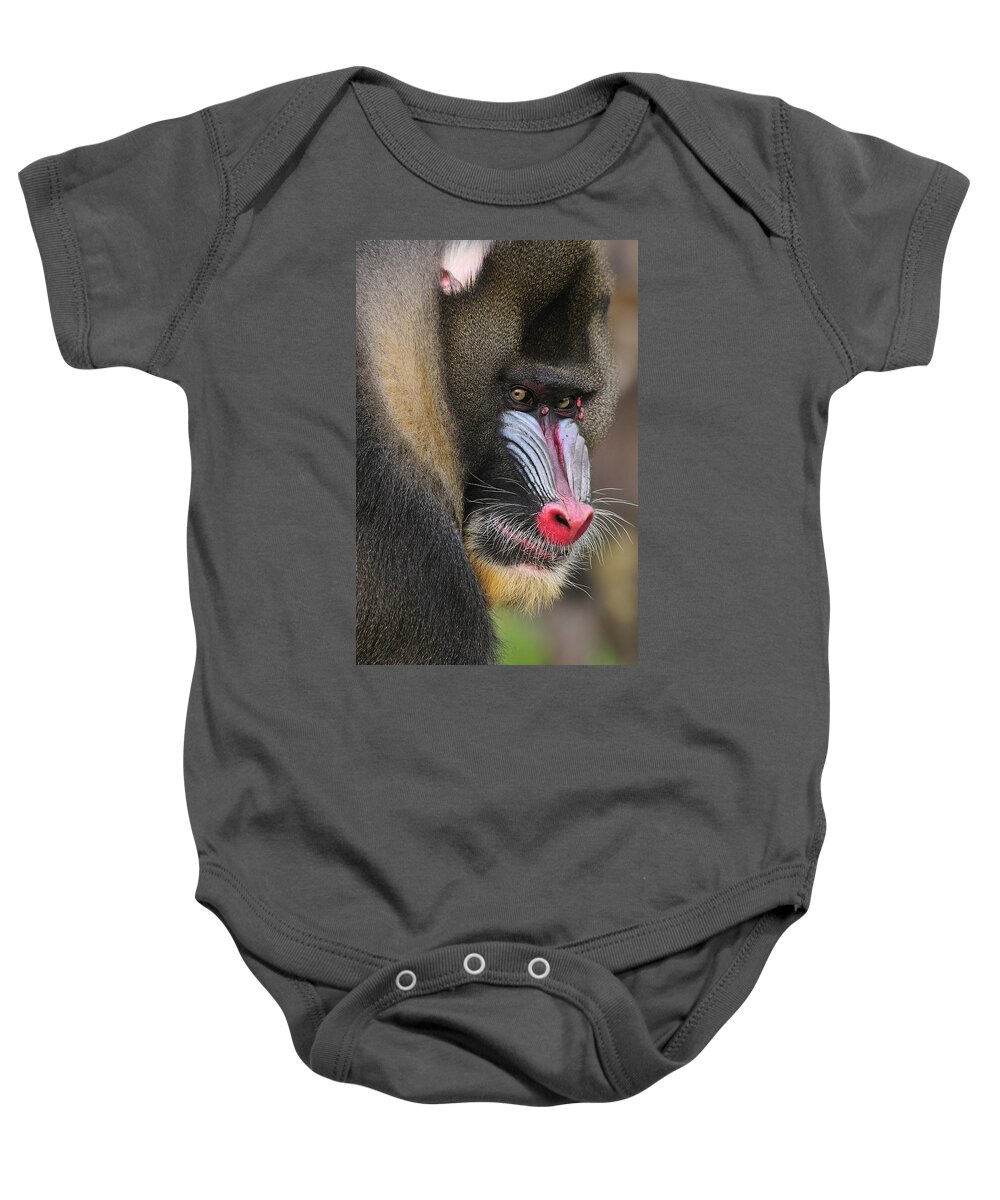 Feb0514 Baby Onesie featuring the photograph Mandrill Male by Thomas Marent