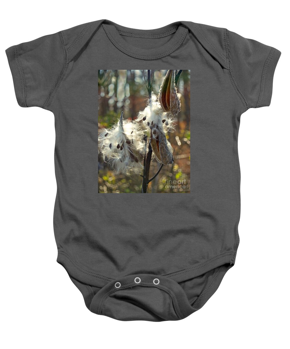 Milkweed Pod Baby Onesie featuring the photograph Milkweed Seed Pods Back-lit in Marsh by Anna Lisa Yoder