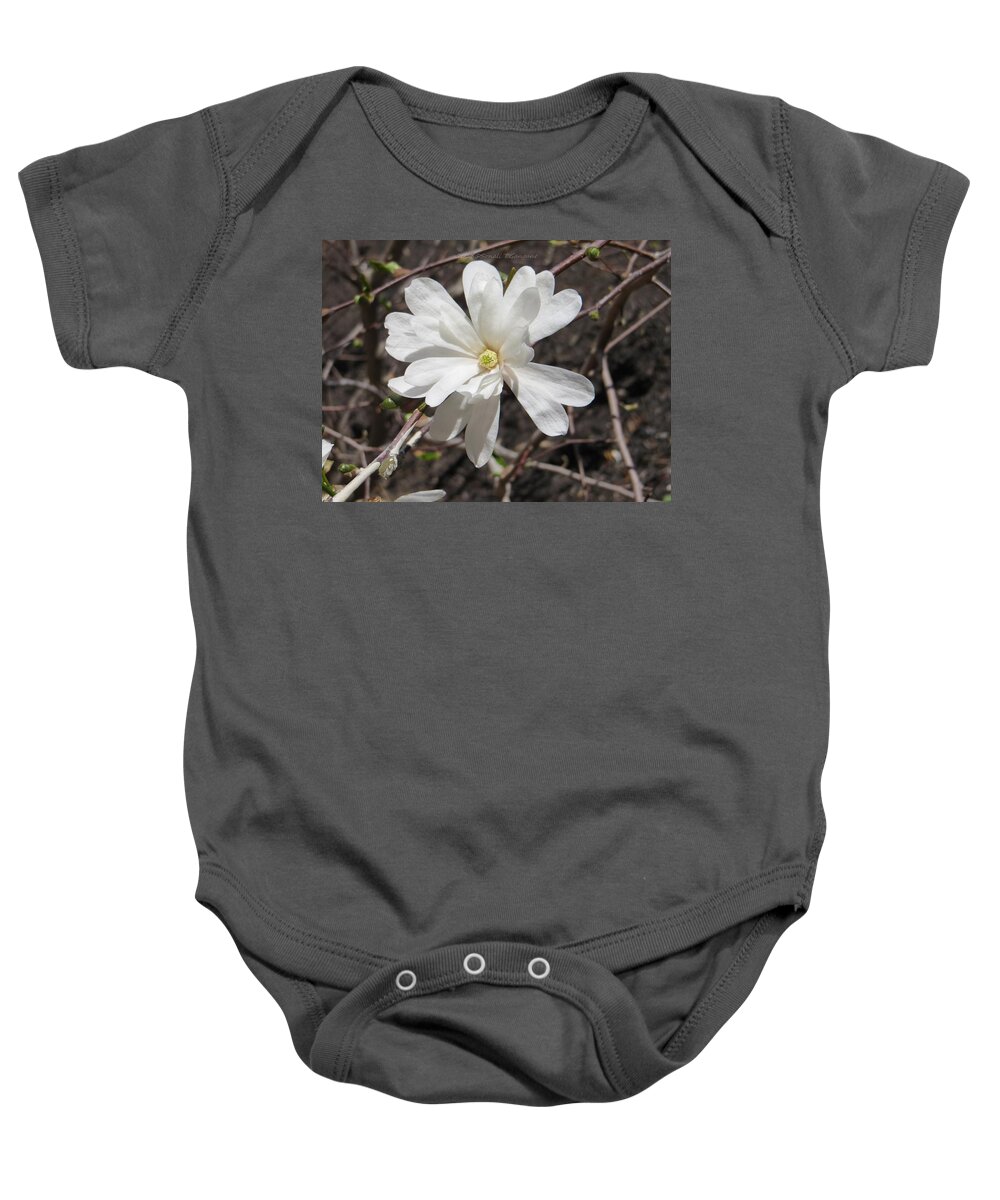 Milky White Aster Baby Onesie featuring the photograph Milky white aster by Sonali Gangane