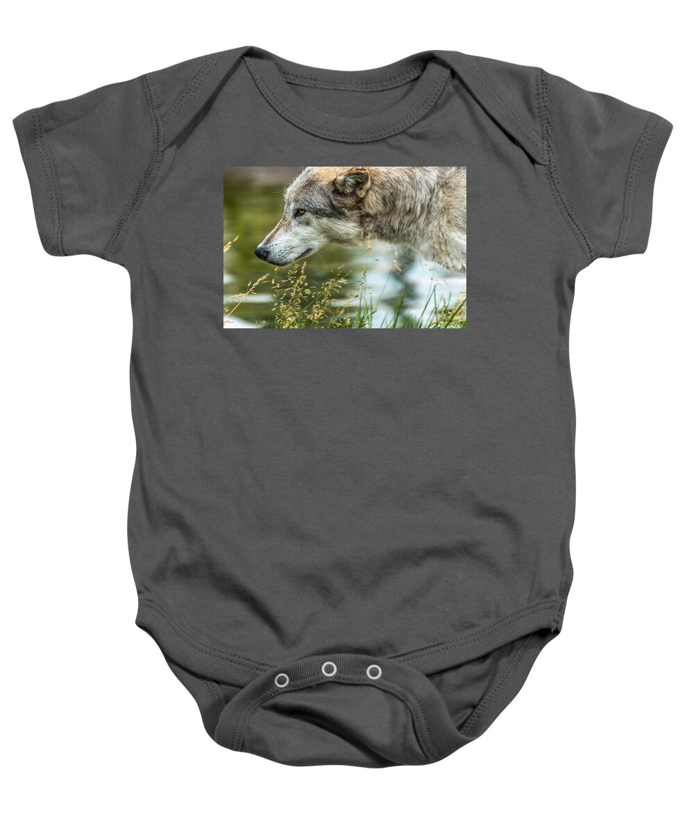 Wolf Baby Onesie featuring the photograph Momentum by Yeates Photography