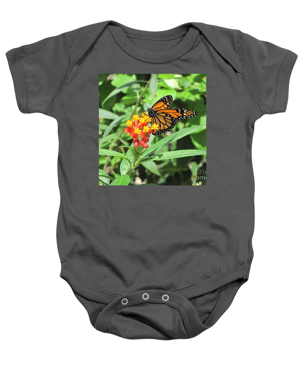 Monarch At Rest. Hevi Fineart Baby Onesie featuring the photograph Monarch at Rest by HEVi FineArt