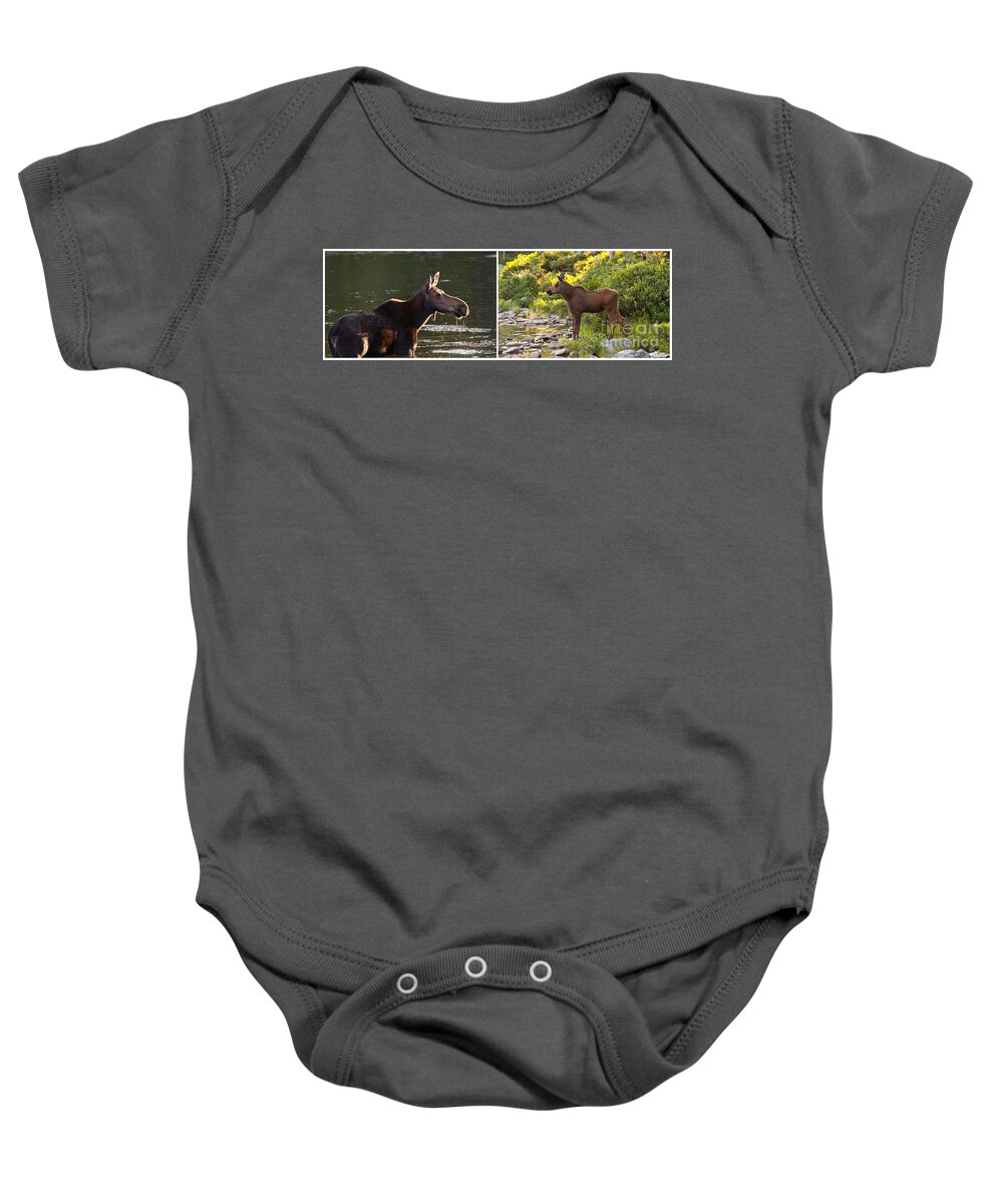 Maine Baby Onesie featuring the photograph Moose and Baby 5 by Glenn Gordon