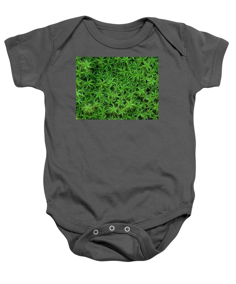 Atrichum Sp. Baby Onesie featuring the photograph Moss by Daniel Reed