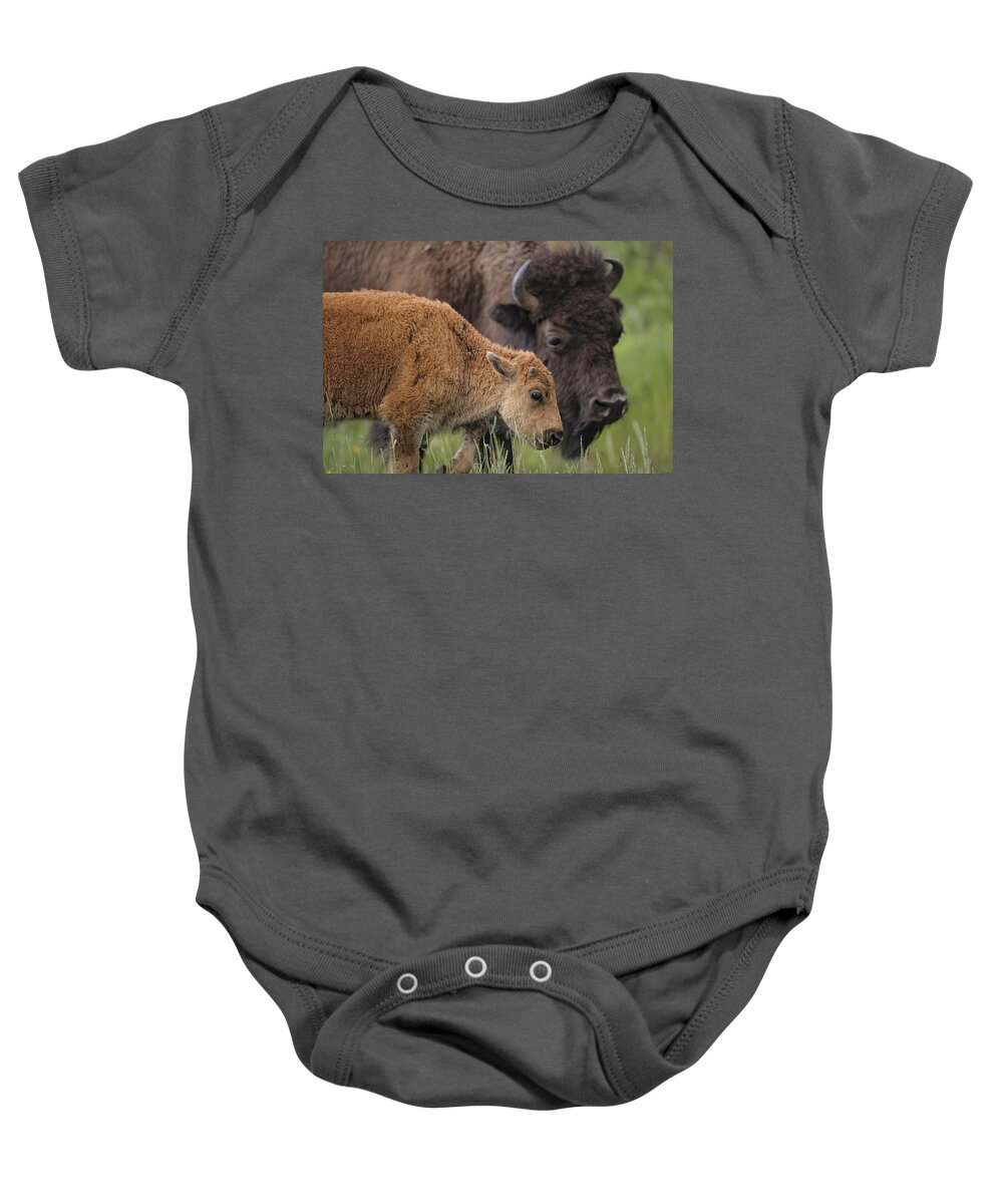 America Baby Onesie featuring the photograph Mother and Calf Bison by Paul W Sharpe Aka Wizard of Wonders