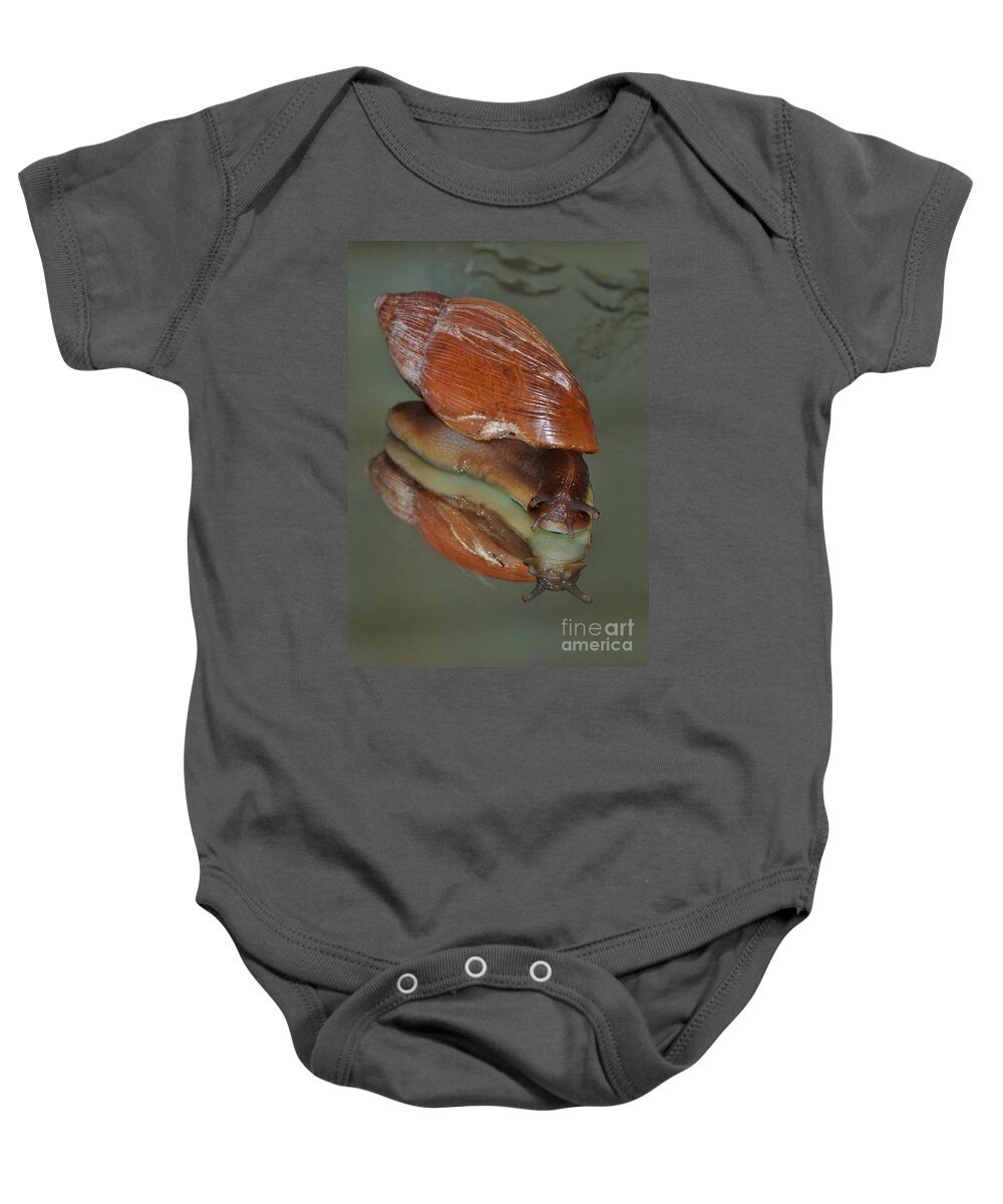 Snail Baby Onesie featuring the photograph My Mother Loves My Face by Kathy Baccari
