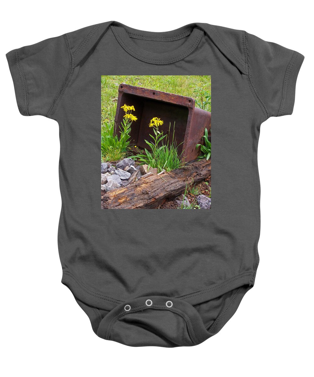 Bear Creek Trail Baby Onesie featuring the photograph Metal Box by Jennifer Robin