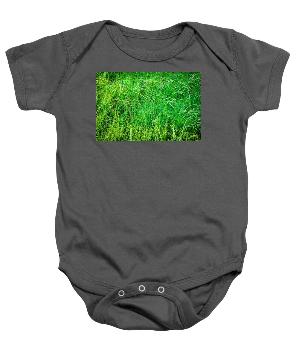 Glacier National Park Baby Onesie featuring the photograph New Grasses Glacier National Park Painted by Rich Franco