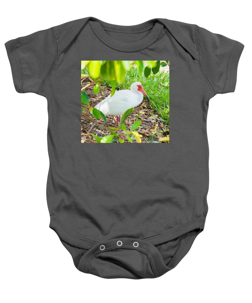 old Blue Eyes Baby Onesie featuring the photograph Old Blue Eyes by Susan Molnar