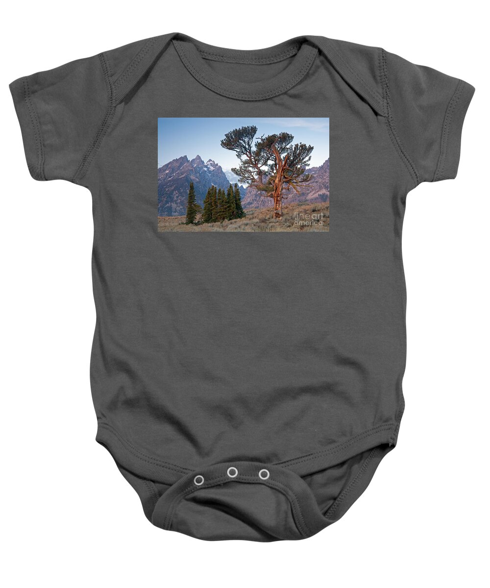 Autumn Baby Onesie featuring the photograph Old Patriarch Grand Teton National Park by Fred Stearns