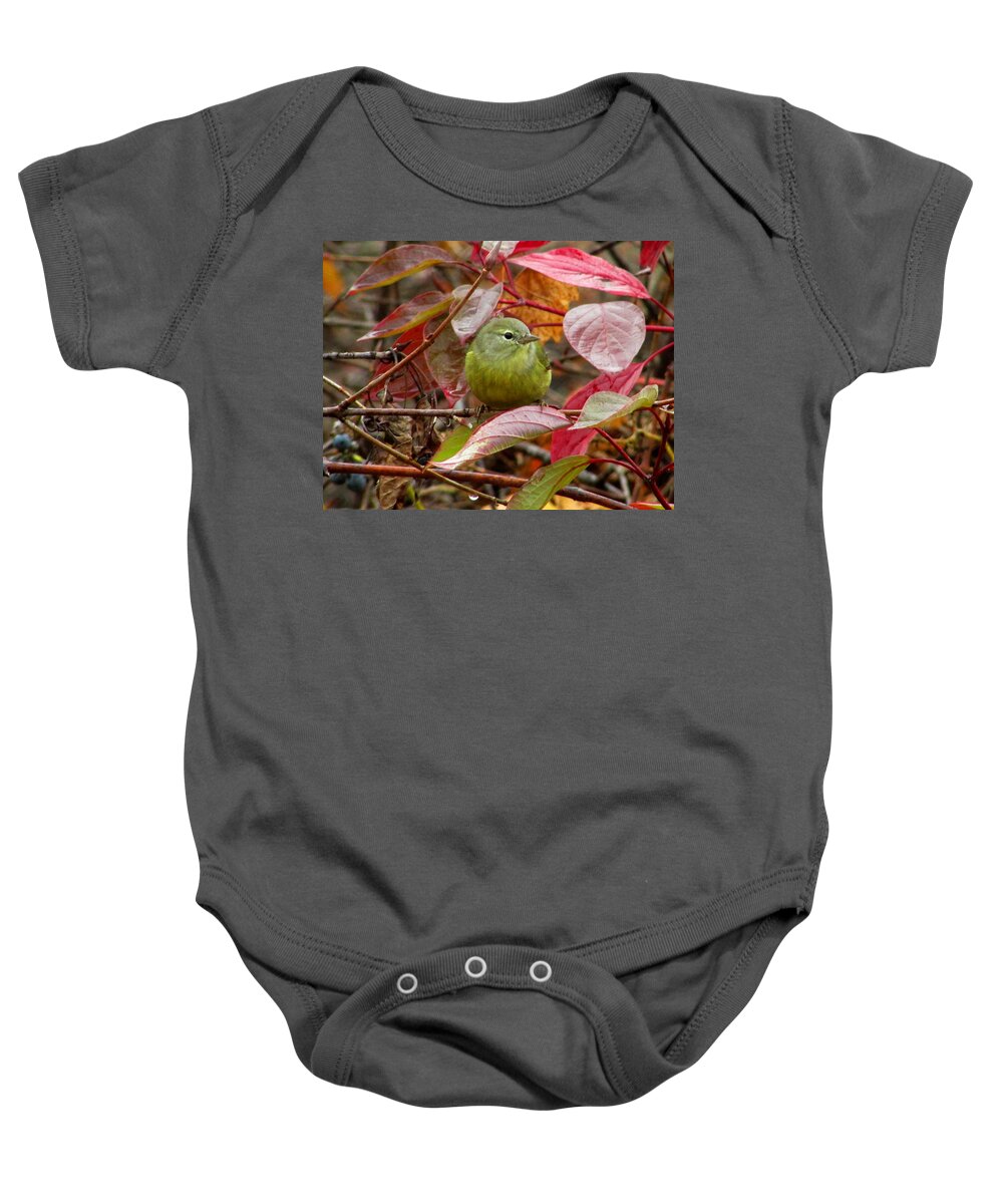 Warbler Baby Onesie featuring the photograph Orange Crowned Warbler by Kimberly Mackowski