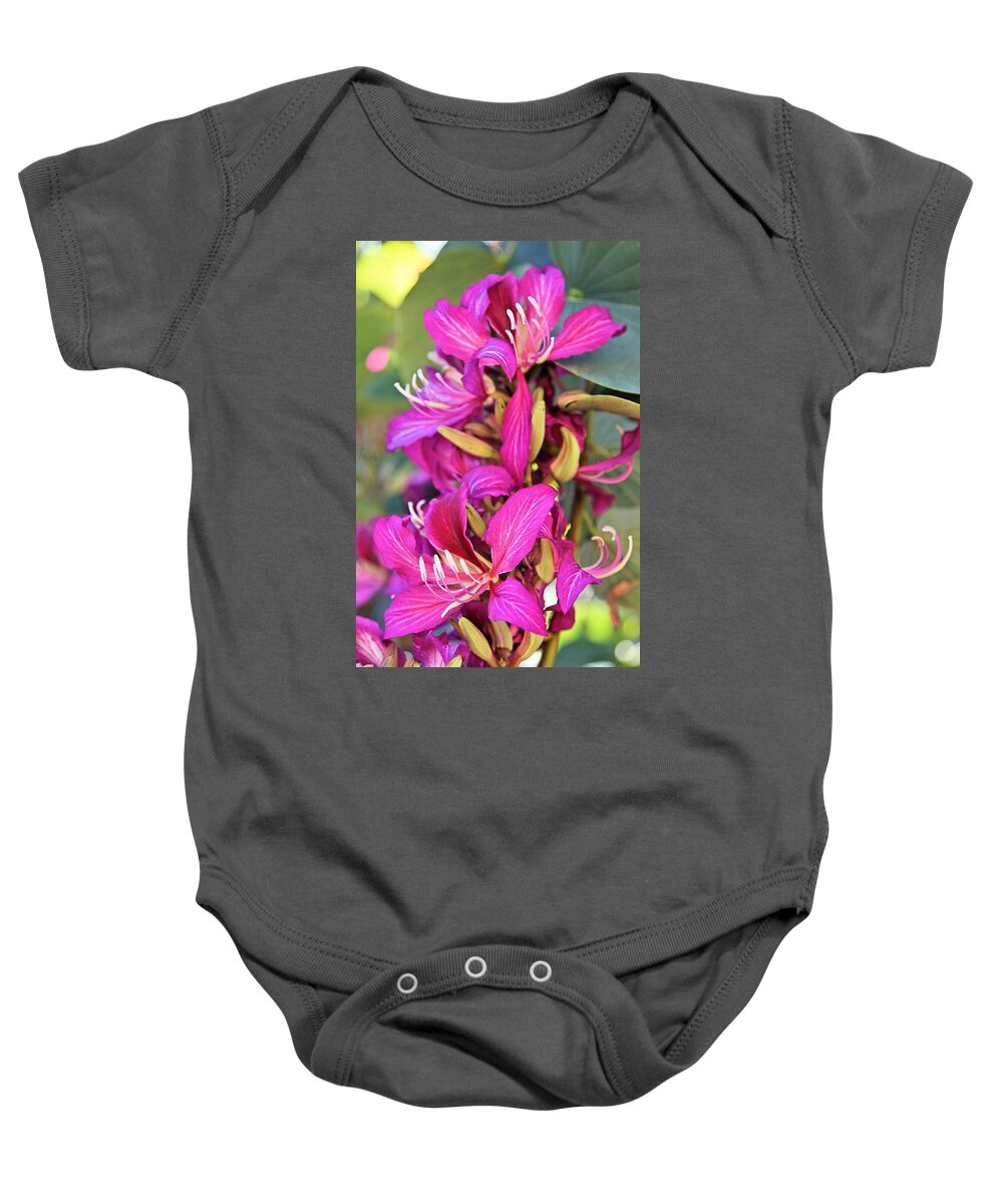 Orchid Baby Onesie featuring the photograph Orchid Tree Flower by Jane Girardot