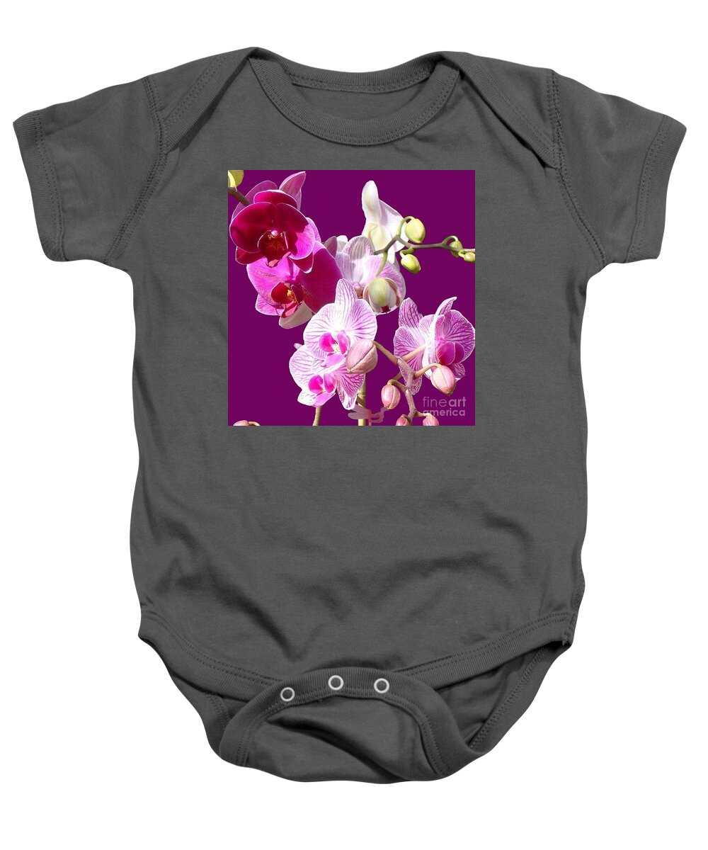 Orchids Baby Onesie featuring the photograph Orchids for Spring by Janette Boyd