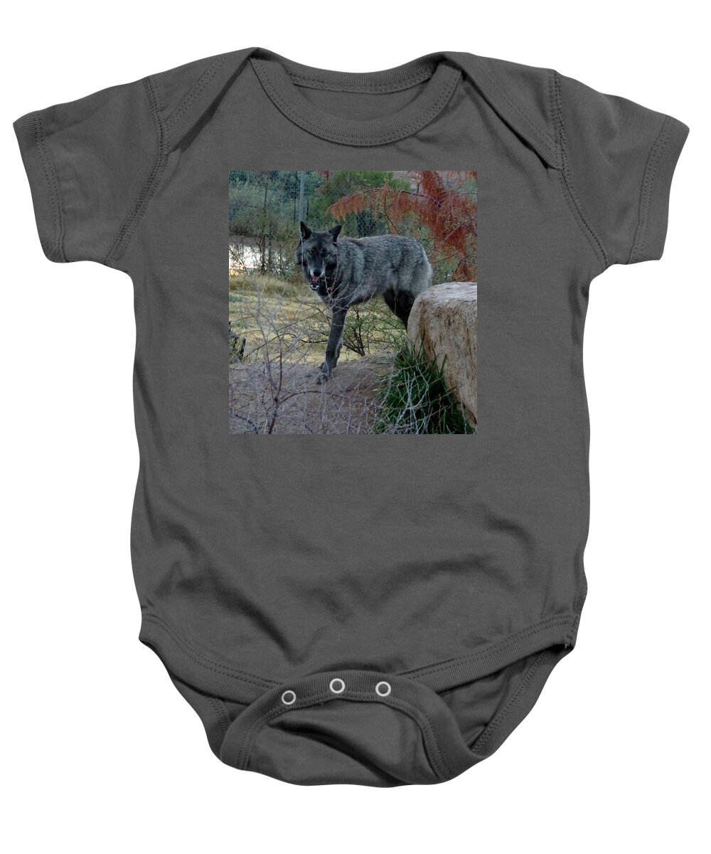 Out Of Africa Baby Onesie featuring the photograph Out of Africa Black Wolf by Phyllis Spoor
